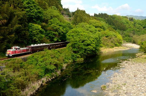 わたらせ渓谷鐡道・足利大藤まつり号他_c0238996_19475439.jpg