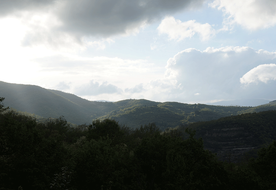 雨上がりの夕方はキノコ部_f0106597_2125922.gif