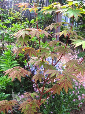 c0117898_22564591.jpg