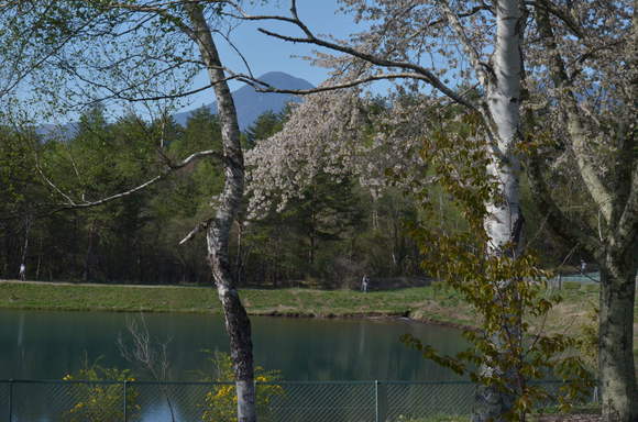 a0288500_21155992.jpg