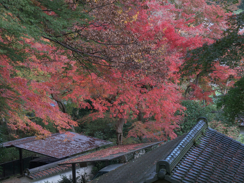 b0138101_04565801.jpg
