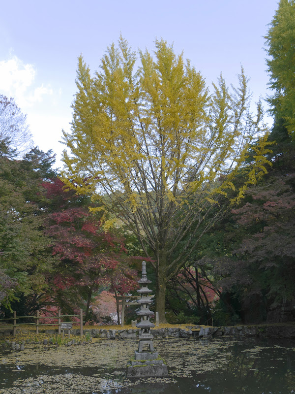 b0138101_04565999.jpg