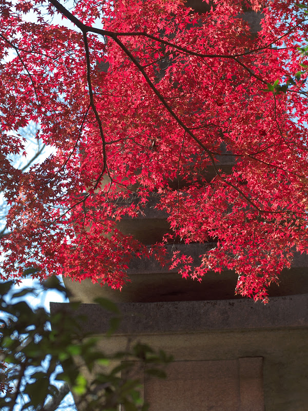b0138101_04580866.jpg