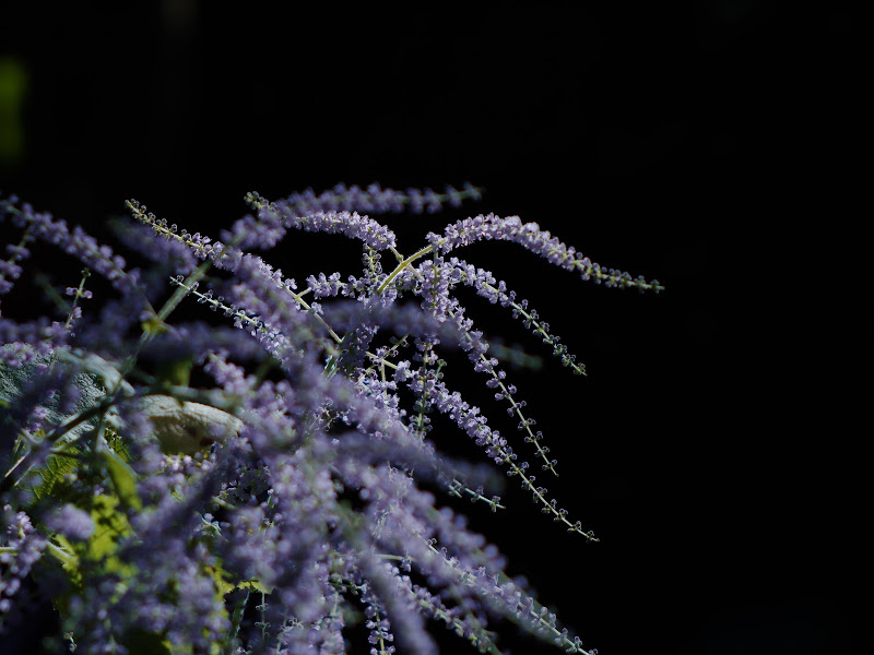 b0138101_04594743.jpg