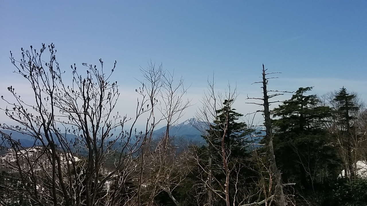 c0007502_16305905.jpg
