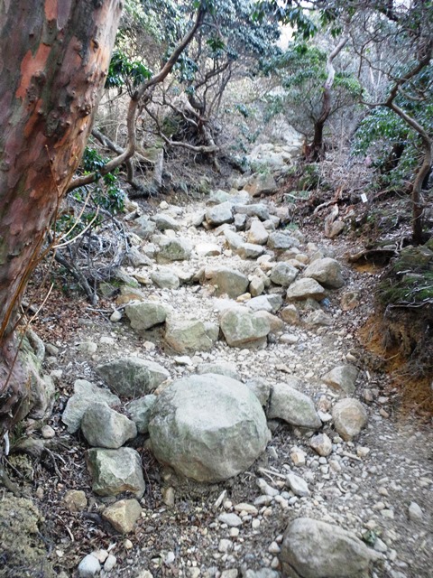 e0271804_2259448.jpg
