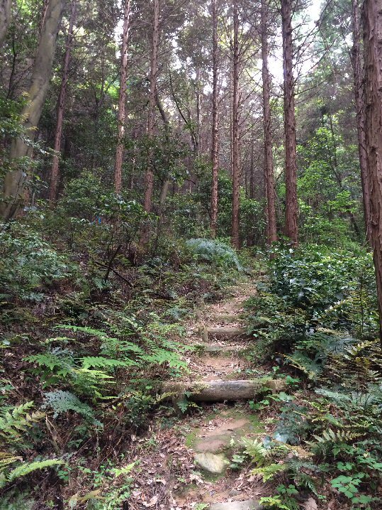 c0205205_20261563.jpg
