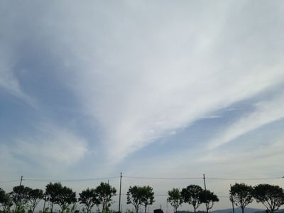 a0206808_1754447.jpg