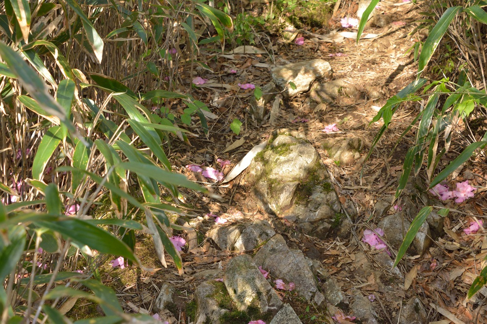 b0277008_7213276.jpg