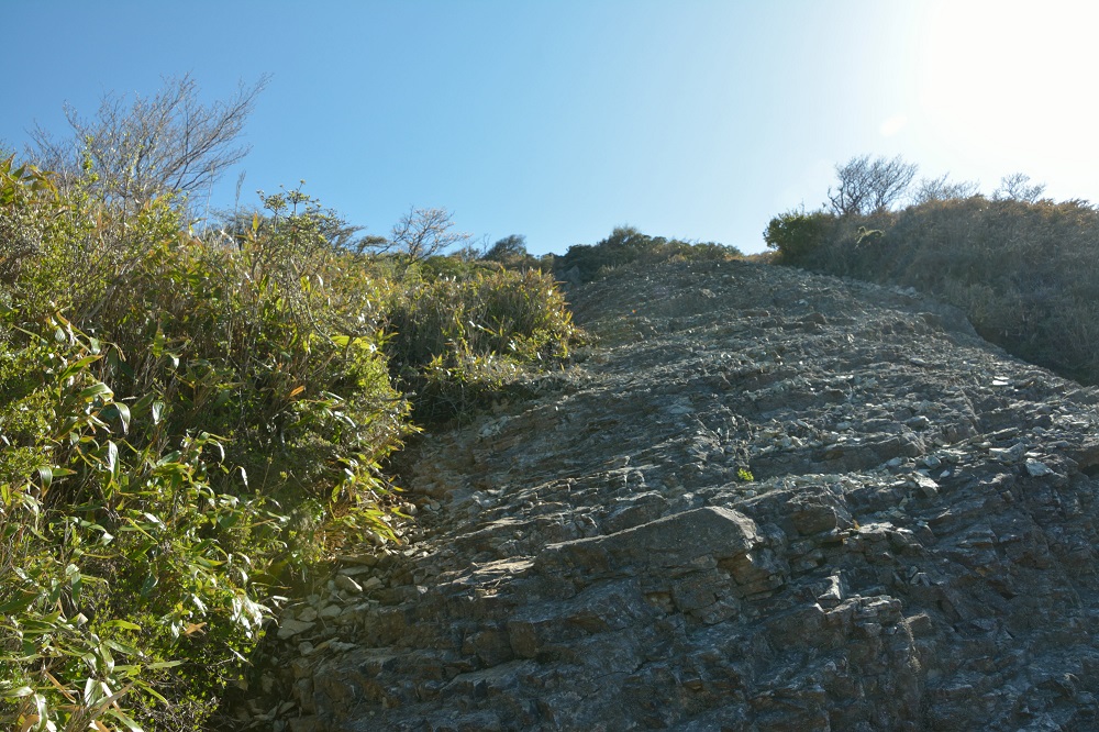 b0277008_7273598.jpg