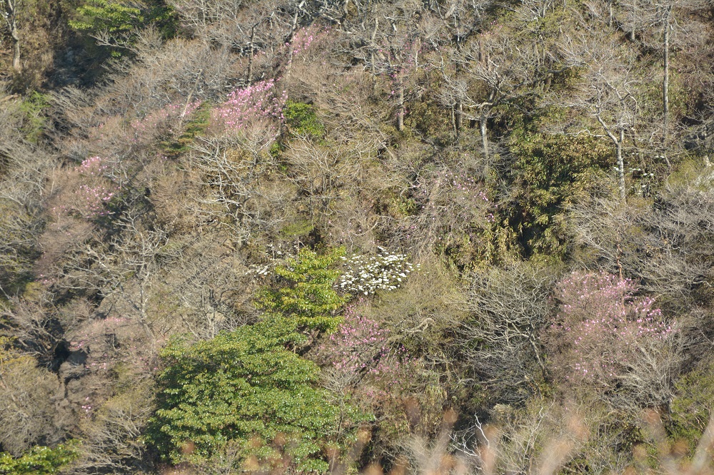 b0277008_7282410.jpg