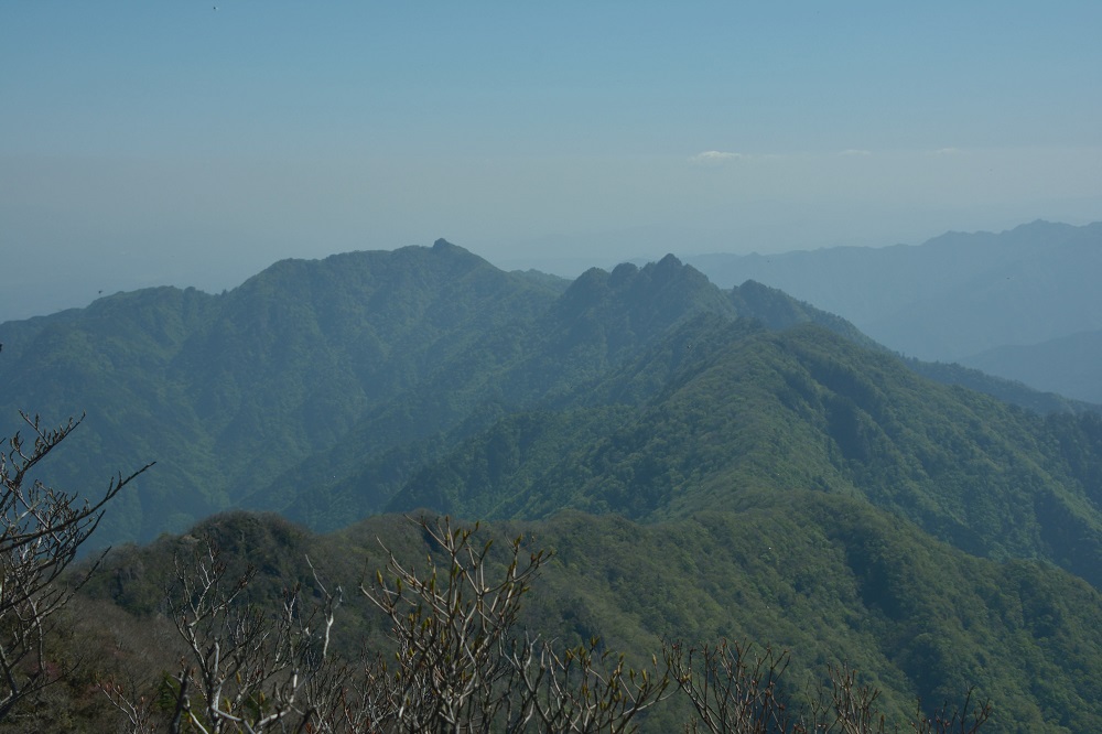 b0277008_7342624.jpg