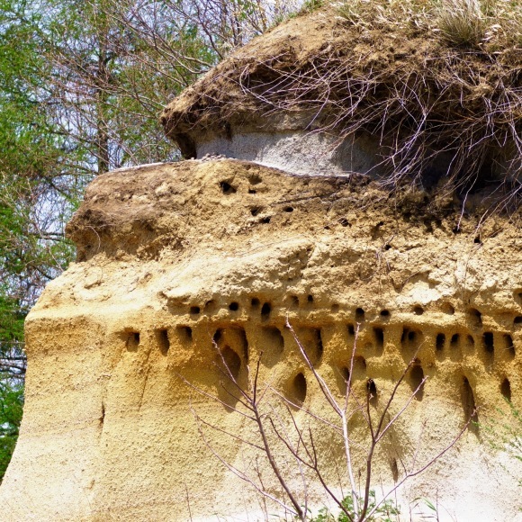 e0142611_21103350.jpg