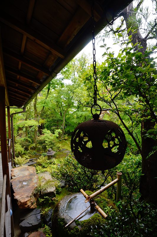 雨の日の新緑巡り＠妙心寺塔頭　大法院_f0032011_16512247.jpg