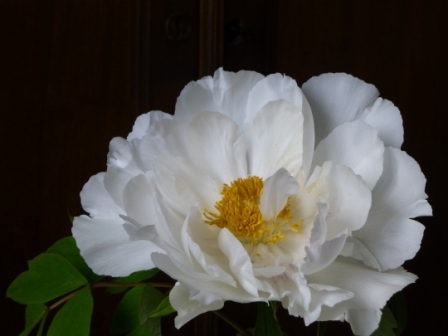 f0343811_22012421.jpg