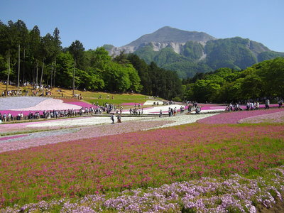 e0239312_13373790.jpg