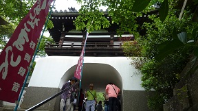 a0177314_1484211.jpg