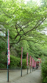 a0177314_149195.jpg