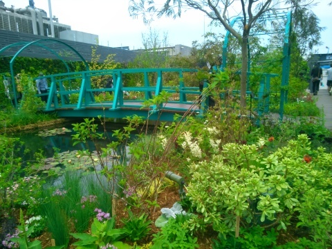 池袋西武の屋上庭園 薔薇のガーデナー Weekend S Ladybirds 池袋西武の屋上庭園 薔薇のガーデナー Weekend S Ladybirds