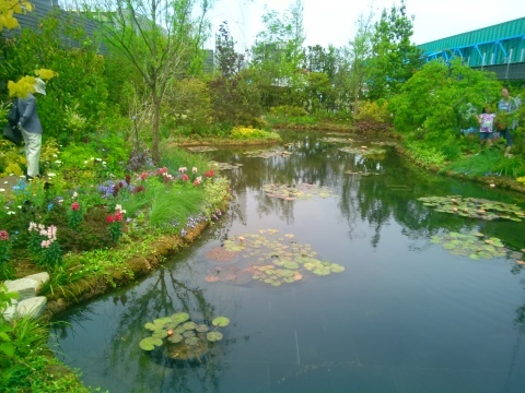 池袋西武の屋上庭園 薔薇のガーデナー Weekend S Ladybirds
