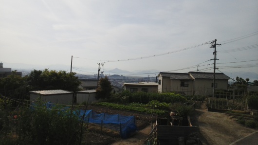 役人からヘルパーへ。90日目の出勤です。_e0094315_08100843.jpg