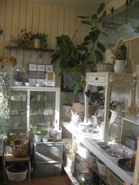 c0085916_0225719.jpg