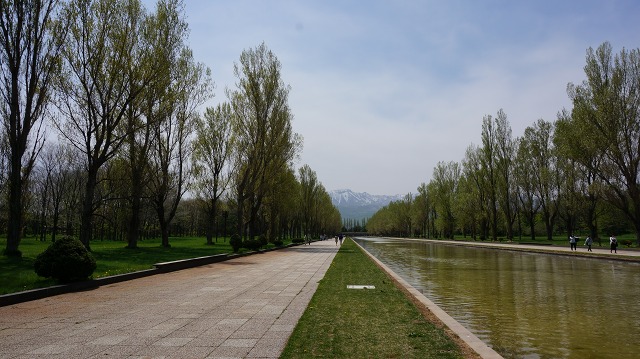 e0265618_9435068.jpg