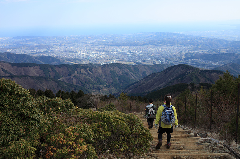 天空の階段　丹沢山_c0369219_16500040.jpg