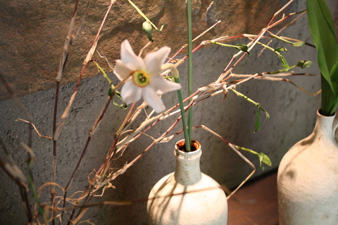 KADOH 木、草、花に遊ぶ_a0260022_1294495.jpg