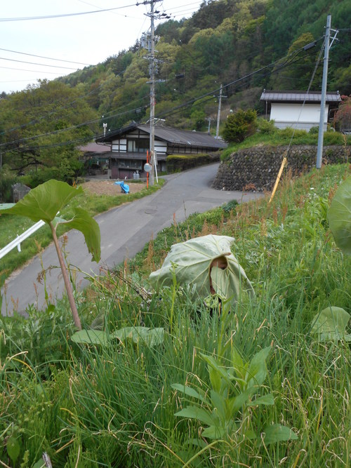 e0015223_2349341.jpg