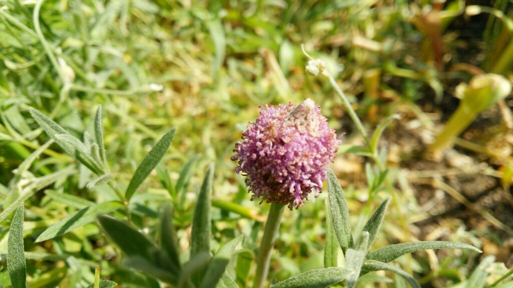 e0263224_16005207.jpg