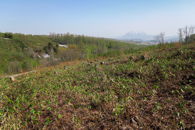 b0243727_6405128.jpg