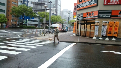 a0099131_17255049.jpg