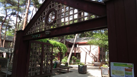 e0202031_1934960.jpg