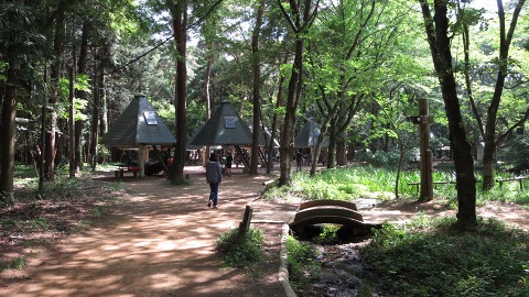 e0202031_1943184.jpg