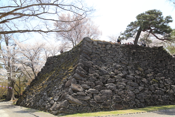 春爛漫・桜便り（小諸・懐古園）その３_f0229832_915351.jpg