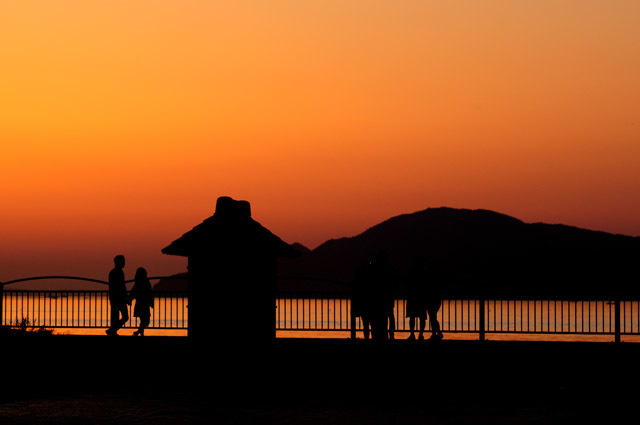 夕方の部:宇多津臨海公園②_f0346040_10365537.jpg