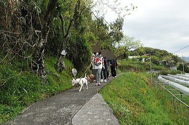 f0094843_21232550.jpg