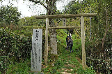 f0094843_21320416.jpg