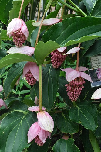 f0343750_75151.jpg