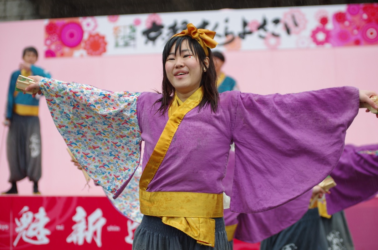 京都さくらよさこい２０１５二日目その１０（有閑踊り子一座飛舞人）_a0009554_2250103.jpg