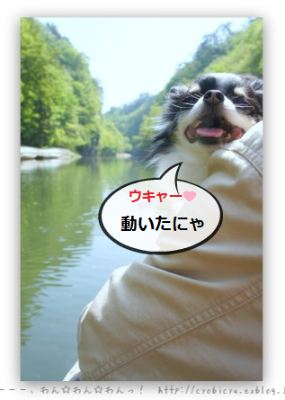 b0112758_1127444.png
