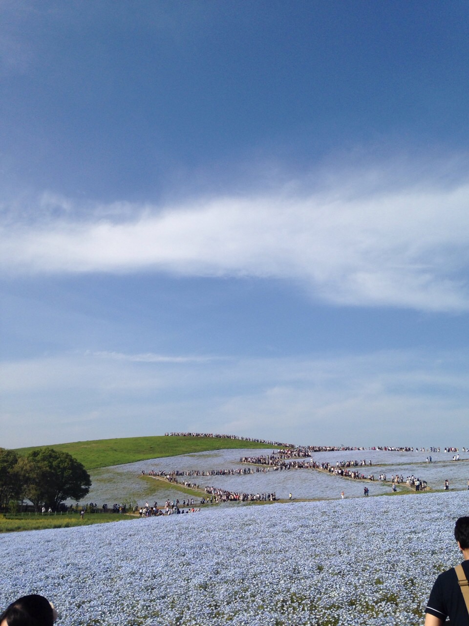 b0204466_94471.jpg