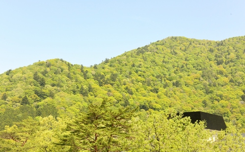 mont-bell TREKKING POLE PHOTO_e0151566_12411770.jpg