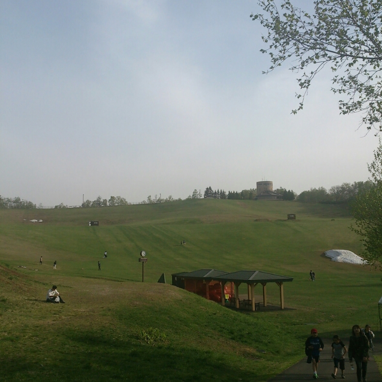 c0311170_17524251.jpg
