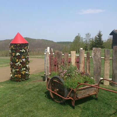 c0311170_17532715.jpg