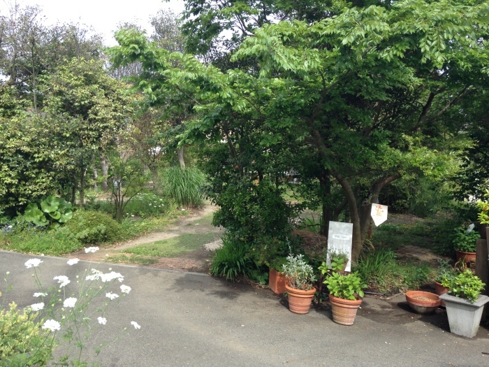 草庭　Open Garden  2015_b0167282_22540190.jpg