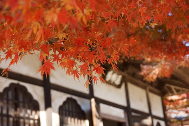 ☆秋深まり、紅葉彩る、北鎌倉／円覚寺！_c0168984_10454245.jpg