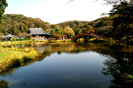 ☆晩秋、イチョウの三兄弟も色づく、横浜／称名寺！_c0168984_11452640.jpg