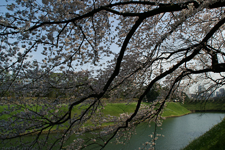 c0168984_11551036.jpg